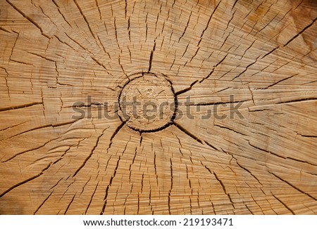 Wooden texture backgrounds