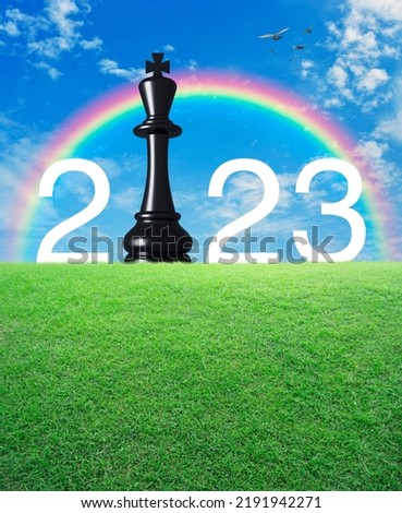 2023 white text with black chess king on green grass field over rainbow, birds and blue sky with white clouds, Happy new year 2023 strategy and success concept