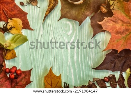 autumn leaves in the park background text here