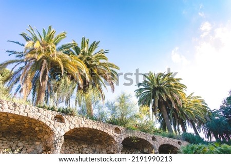 Stairs of bridge with palm trees and blue sky in the city