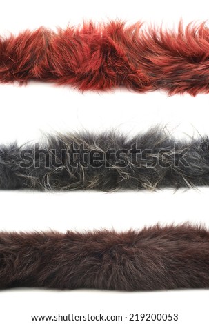 Strip of fur isolated over the white background, set of three color versions: red, gray and brown Royalty-Free Stock Photo #219200053