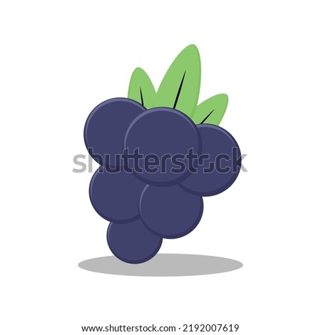 grape fruit icon vector illustration, good for food, fruit theme theme
