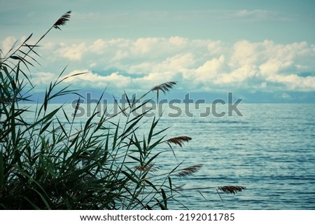 Issyk-Kul (Hot lake) - reed rustling against the backdrop of waves and mountains