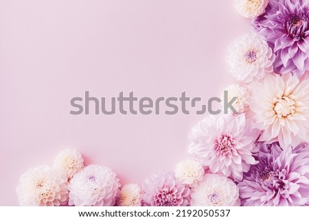 Beautiful dahlia flowers on pastel table with copy space for your text top view and flat style. Greeting card for birthday or mother day.
