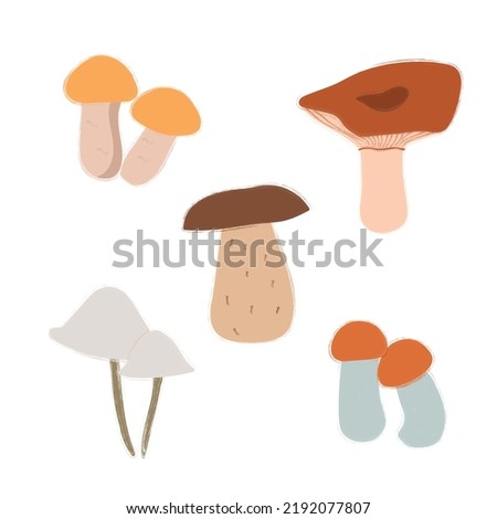 Vector image of a mushroom isolated on a white background. Porcini mushrooms, chanterelles, honey mushrooms, mushrooms, toadstools, morels.  Cartoon style.