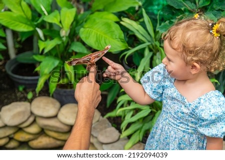 Child holds a butterfly on their hand. Coscinocera hercules. Selective focus. Kid.