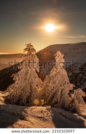 Sunset in Krkonoše mountains. Beautiful landscape with frozen green trees, rocks and blue sky in the snowy mountains. Winter landscape scene from nature, Krkonoše National Park, Czech Republic