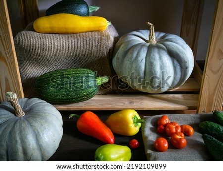 Pumpkins, vegetable marrow and sweet pepper in kitchen, vintage still life of organic food. Photo of zucchini and tomatoes in rustic interior. Thanksgiving, harvest, farm, season and nature concept.