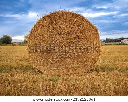 Close up picture of a hay bale on a field, selective focus.
