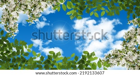 White spring flowers and green tree branches. sunny blue sky in background.