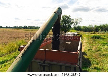 combine harvester picking up rape seen on a sunny day, good prosperity concept. High quality photo