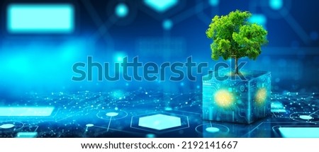 Tree growing on Circuit Digital Cube. Digital and Technology Convergence. Blue light and Wireframe network background. Green Computing, Green Technology, Green IT, csr, and IT ethics Concept.