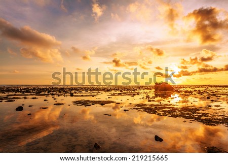 Tropical beach in ebb time on sunset background