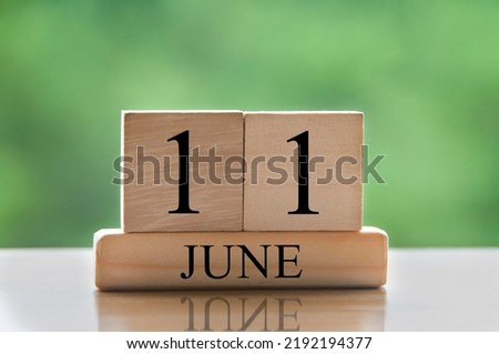 June 11 calendar date text on wooden blocks with blurred nature background. Copy space and calendar concept.