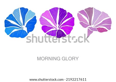 Decorative hand drawn morning glory flowers, design elements. Can be used for cards, invitations, banners, posters, print design. Floral background