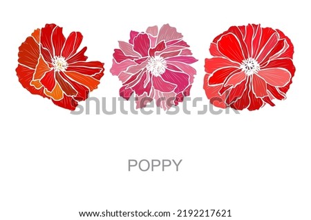 Decorative hand drawn poppy flowers, design elements. Can be used for cards, invitations, banners, posters, print design. Floral background