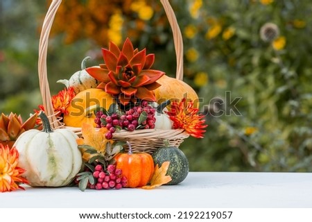 Thanksgiving day. Autumn background of colorful, decorative pumpkins, flowers and berries of mountain ash and succulents. A rich harvest. The concept of the Halloween holiday.