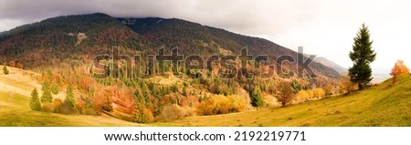 Autumn in Ukraine. Wonderful colorful deciduous forest in the Carpathian mountains. The world of nature untouched by man. High quality photo