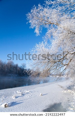 Photo the snow-covered river did not freeze in winter.The river flows in winter. Snow on the branches of trees. Reflection of snow in the river. Huge snowdrifts lie on the Bank of the stream. 