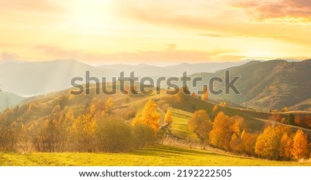 Ukraine. Warm autumn in a Transcarpathian village. birch and pine forests and Hutsul houses against the backdrop of the Synevyr Pass ridge are very beautiful with bright colors. Carpathian mountains.  Royalty-Free Stock Photo #2192222505