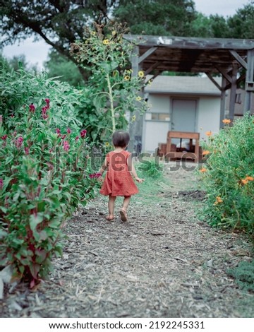 Toned photo rear view happy Asian toddler girl in dresses walking along pollinator garden near Dallas, Texas, America. Colorful seasonal flower blooming, kids field trips student tour activities