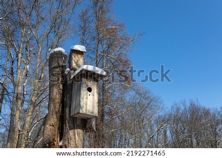 An old wooden birdhouse with a snowdrift on the roof against the blue sky. Taking care of birds in winter