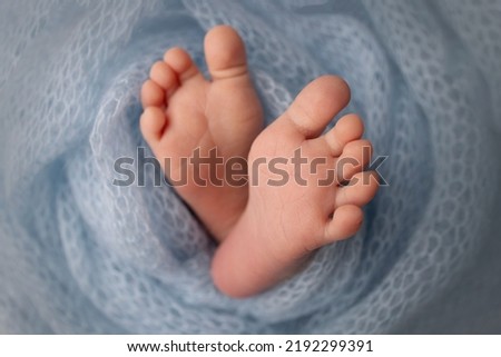Soft feet of a newborn in a blue woolen blanket. Close-up of toes, heels and feet of a newborn baby.The tiny foot of a newborn. Studio Macro photography. Baby feet covered with isolated background.  Royalty-Free Stock Photo #2192299391