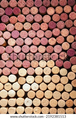 Set of wine cork from white and red wine, natural texture bottle stoppers top view, colorful background from closeup wooden corks. Natural textured stoppers. Wine card background for winemaking or bar