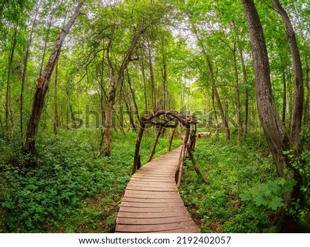 Wooden tunnel on the boardwalk. Wooden deck, eco trail without people, passing directly through the fancy deep green forest. Photo taken at wide-angle lens.