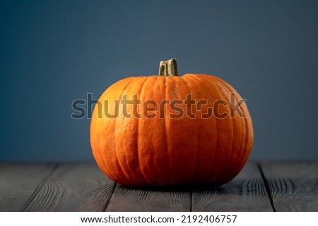Ripe orange pumpkin on black table isolated on blue background. Autumn harvest. Helloween symbol.