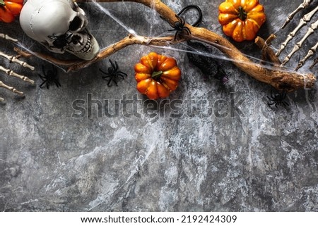 Halloween flat lay composition. Top view spooky skull, tree branch with web, spiders, orange pumpkins, zombie hands on stone table. Mystery and creepy Halloween background.