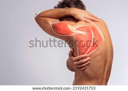 Scapula, man's shoulder pain, muscle and body anatomy. Human shoulder blade view from behind Royalty-Free Stock Photo #2192431753