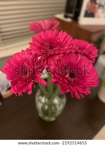 Home decorating cut flowers arrangements