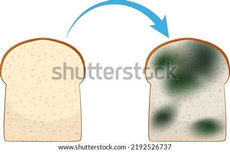 Inedible bread with mould illustration