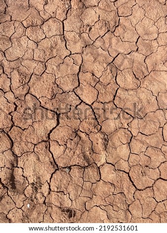 texture of brown dry ground cracked