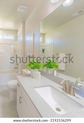 Vertical Sun flare White bathroom interior with indoor plants decorations. There is a window on top of the acrylic wall panel bathtub surround near the front wall near the basket