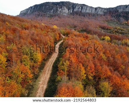 A wonderful autumn in the plateau