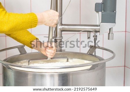 Farm cheese factory. worker mixing small pieces of a soft cheeses in the vat at the family farm cheese industry, Mixing the coagulant before pressing the cheese. Cheese making technology. Royalty-Free Stock Photo #2192575649