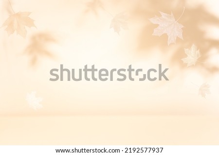 Autumn background with shadow of the maple tree leaves on a wall. Abstract Autumnal scene. Royalty-Free Stock Photo #2192577937