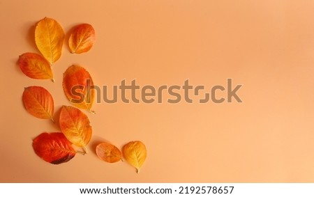 Yellow-red leaves of trees on a orange background on the side. Place for text