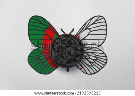 Patriotic background with butterfly wings in colors of national flag. Photography and marketing digital backdrop. Algeria