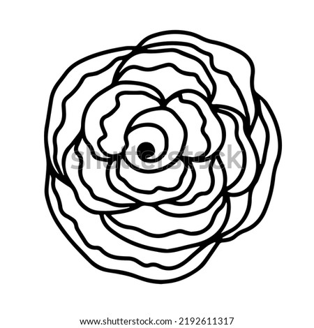 Rose outline hand drawn flower head. Floral botanical flower. Hand drawn ink art. Isolated rose illustration element isolated on white.