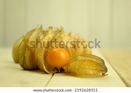 Ripe physalis berries, medicinal and useful fruits of physalis. Physalis fruit with skin on a wooden background. Close-up. copy space