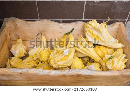 Small yellow decorative pumpkins in store container. Close up, selective focus. Halloween and Thanksgiving decoration and shoppping concept
