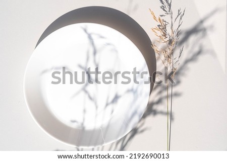 White plate and floral shadow pattern. Minimalism, floral background. Top view, copy space.