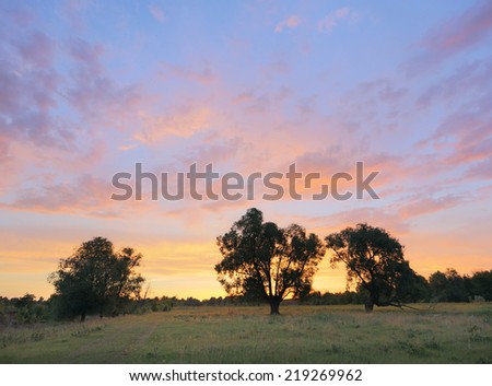summer landscape beautiful bright sunset over the meadow and oak forest on the horizon