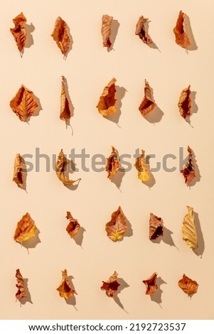 Dry leaves on beige background, autumn pattern, flat lay