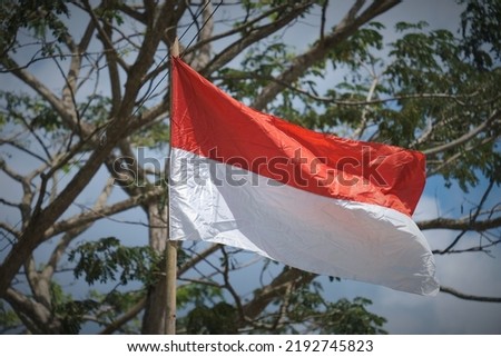 Photoof Indonesia flag red and white