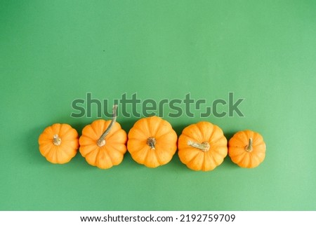 Halloween or thansgiving concept, row of orange and pumpkins on bright green background
