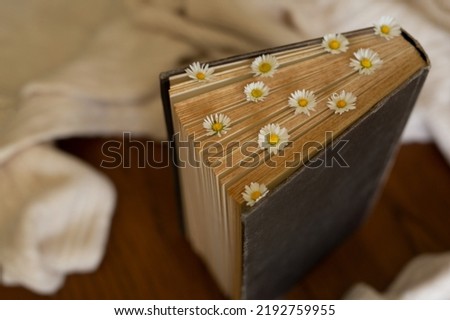 Vintage book with fresh daisies flowers on the table in the arms of a sweater